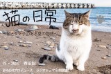 ラジオドラマ「猫の日常 ～私とタマ子のある夏の物語」声優募集