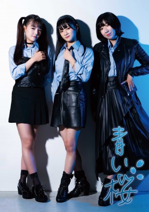 オーディション [横浜]歌ものアイドル「青い桜」新メンバー募集 ライブハウスYokohama minthallで結成されたアイドルです。 主催：Yokohama minthall、カテゴリ：アイドル(東京以外)