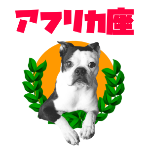 オーディション 「不思議の国のアリンス」出演者募集 主催:アフリカ座グループ u-you.company、カテゴリ:舞台