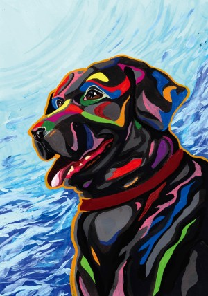 オーディション 舞台BARON 出演者募集 主催:舞台BARON製作委員会、カテゴリ:舞台