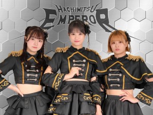 オーディション 岐阜発メルヘンロックアイドル「蜂蜜★皇帝」メンバー募集 主催：株式会社ハニカムプロモーション、カテゴリ：アイドル(東京以外)