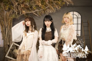 オーディション THE ORGANICS 新体制立ち上げメンバー募集 主催：マッシュアッププロダクション株式会社、カテゴリ：アイドル(楽曲派)