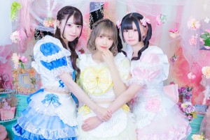 オーディション コンカフェ発アイドル「Elfleur」追加メンバー募集 ZeppやReNYでライブ実績あり 主催:Elfleur、カテゴリ:アイドル(元気系)